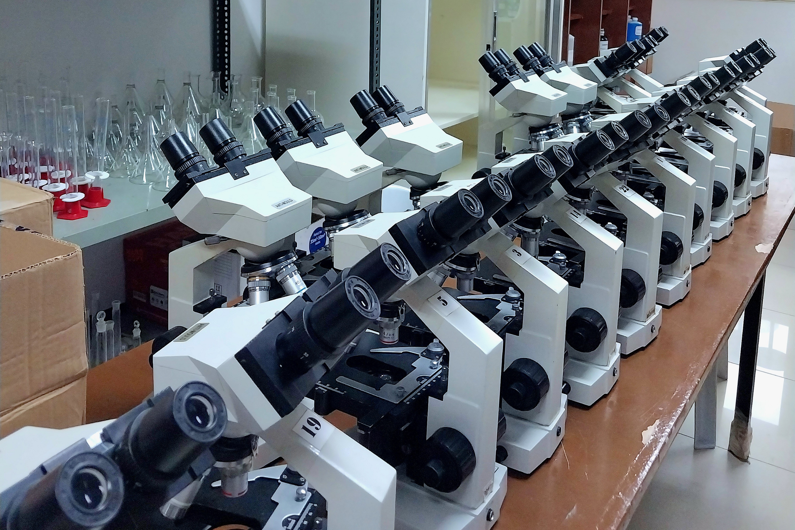 Pastel WARM Acronym Classroom Community Poster (4)